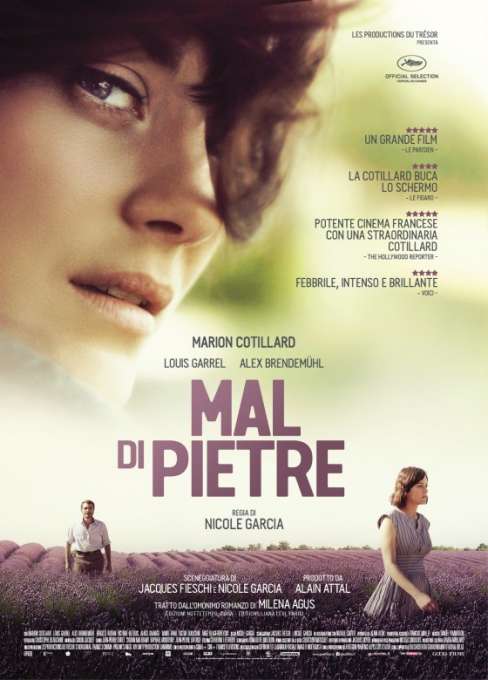 Locandina di Mal di pietre